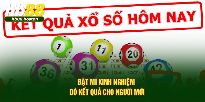 Bật mí kinh nghiệm dò kết quả cho người mới