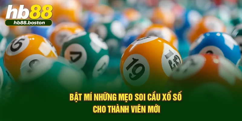 Bật mí những mẹo soi cầu xổ số cho thành viên mới