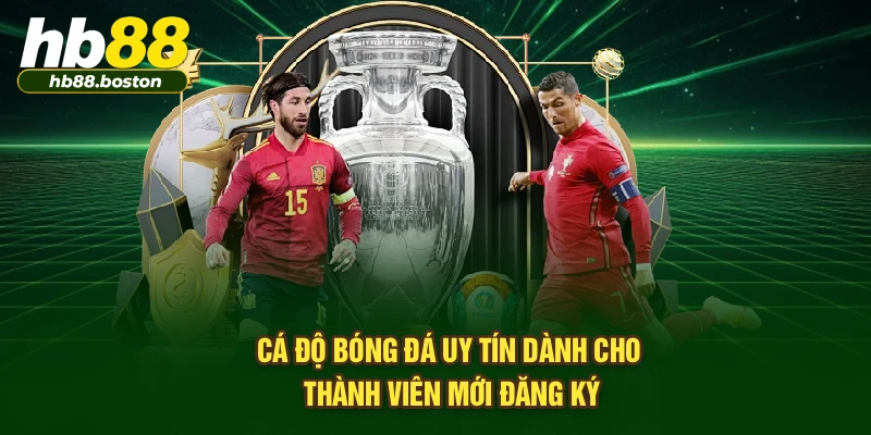 Cá độ bóng đá uy tín dành cho thành viên mới đăng ký