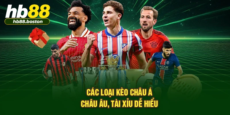 Các loại kèo châu Á, châu Âu, tài xỉu dễ hiểu