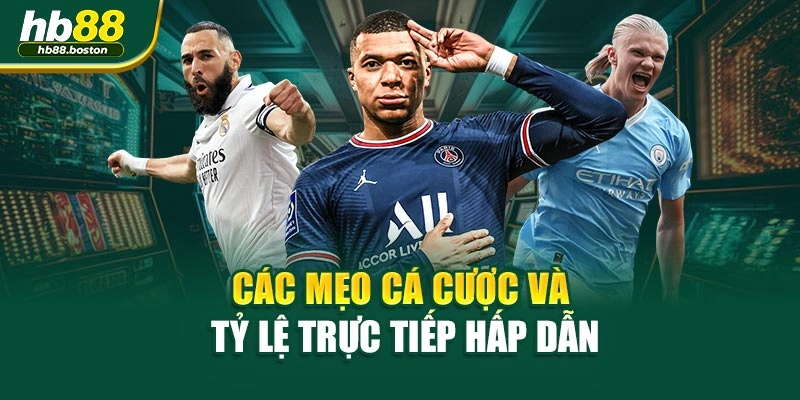 Các mẹo cá cược và tỷ lệ trực tiếp hấp dẫn