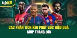 Cá Cược Bóng Rổ Online HB88 - Đón Đầu Mọi Trận Đấu Đỉnh Cao