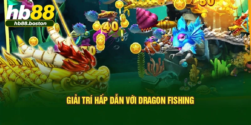 Giải trí hấp dẫn với dragon fishing