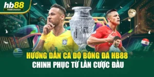 Hướng Dẫn Cá Độ Bóng Đá HB88 - Chinh Phục Từ Lần Cược Đầu