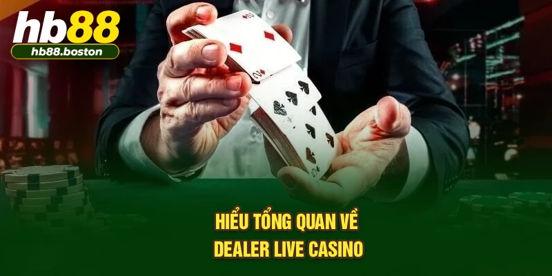 Hiểu tổng quan về Dealer Live Casino