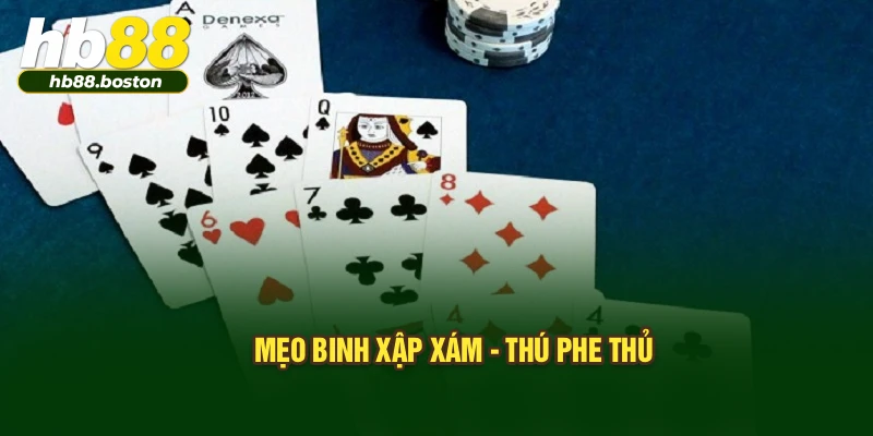 Mẹo binh xập xám - thú phe thủ