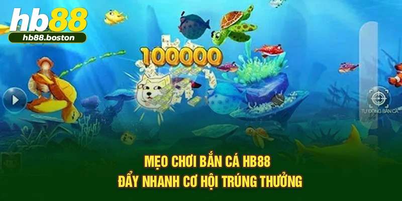 Mẹo chơi bắn cá HB88 - Đẩy nhanh cơ hội trúng thưởng
