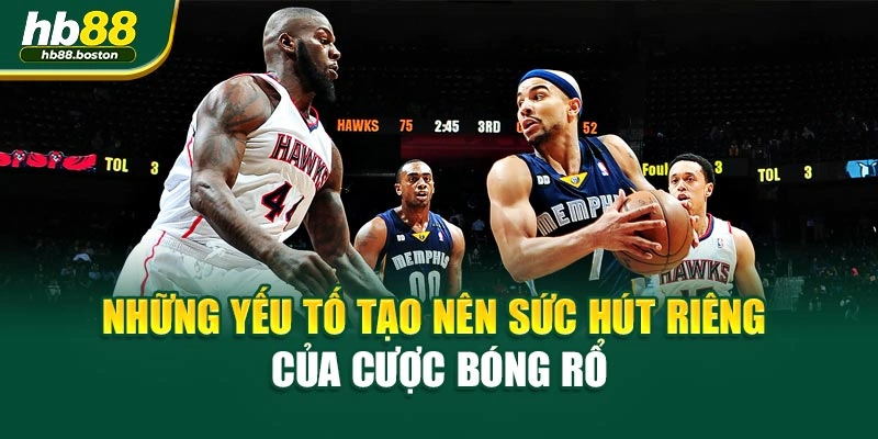 Những yếu tố tạo nên sức hút riêng của cược bóng rổ