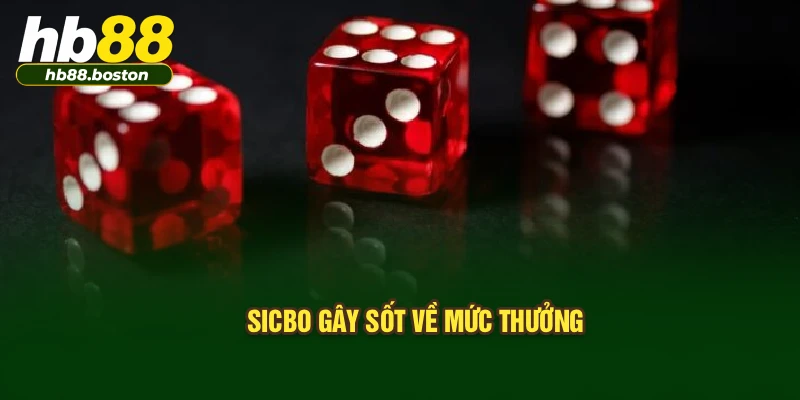 Sicbo gây sốt về mức thưởng