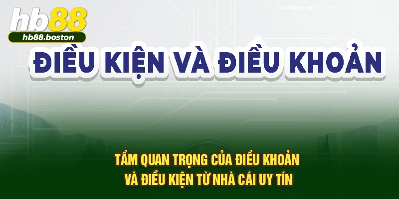 Tầm quan trọng của điều khoản và điều kiện từ nhà cái uy tín