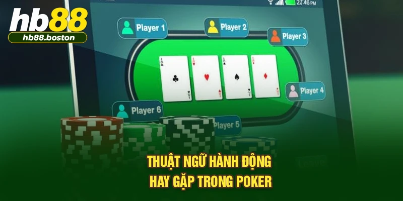 Thuật ngữ hành động hay gặp trong Poker