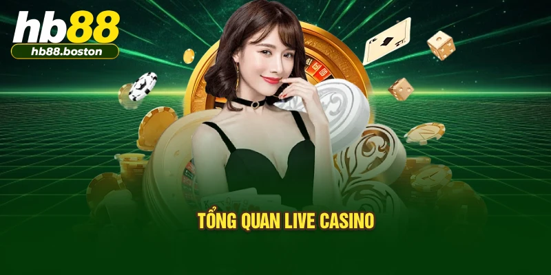 Tổng quan live casino